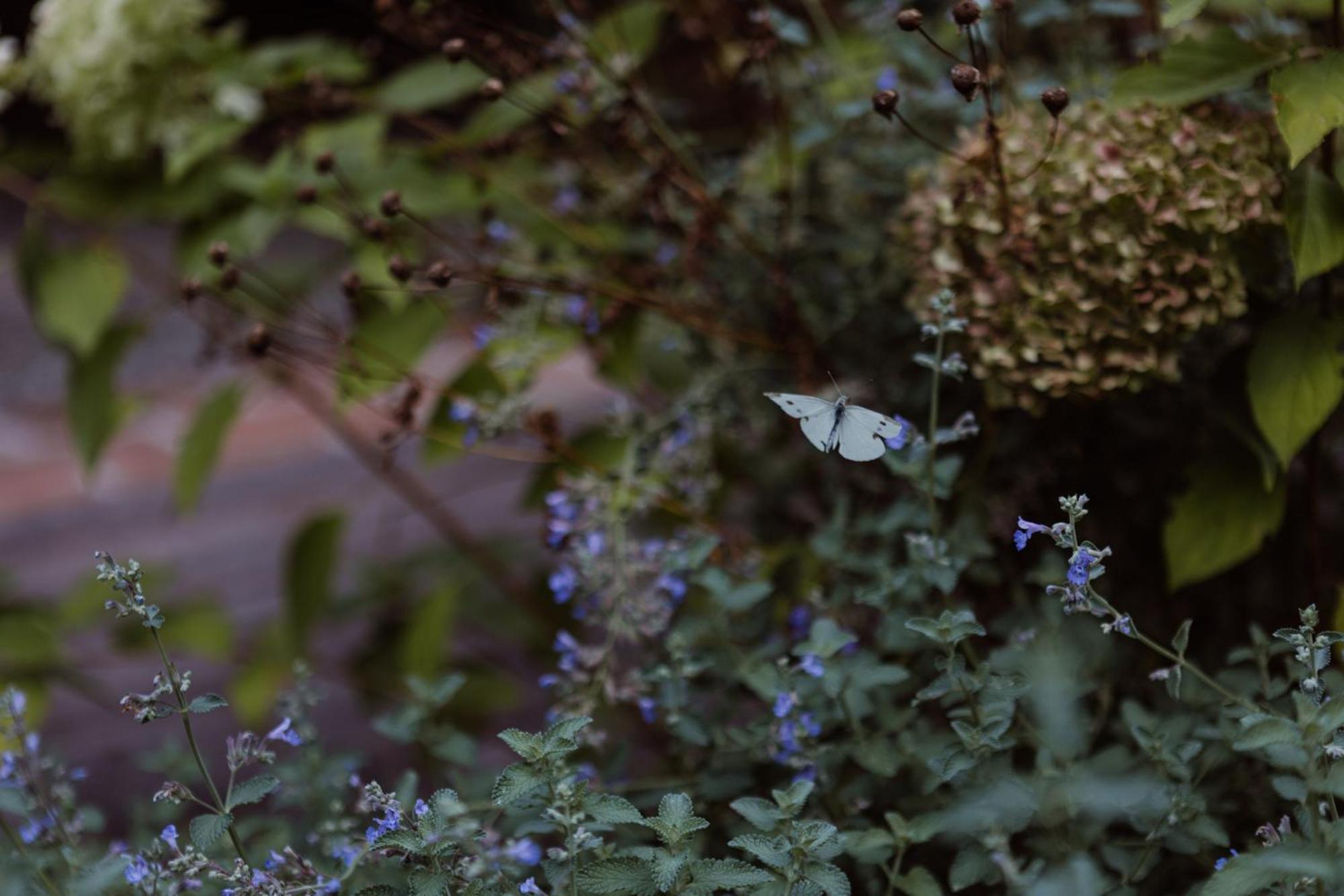 Bed and Breakfast Casa Toma - Luxury Garden House Arzignano Esterno foto